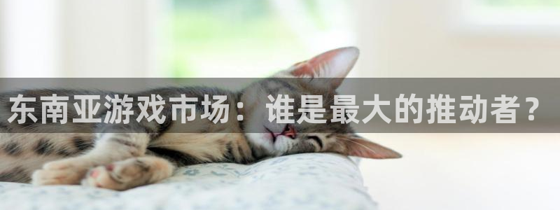 im电竞电子商务有限公司怎么样啊：东南亚游戏市场：谁是最大的推动者？