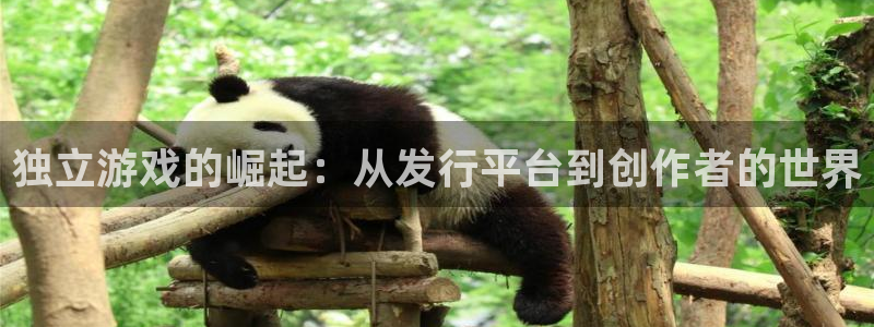 im电竞工坊：独立游戏的崛起：从发行平台到创作者的世界