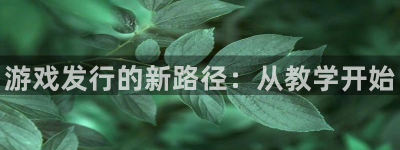 im电竞官网平台招商qq：游戏发行的新路径：从教学开始
