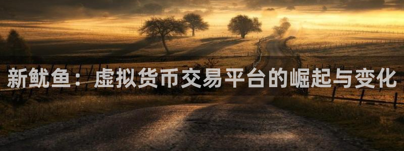 广州im电竞电子商务：新鱿鱼：虚拟货币交易平台的崛起与变化