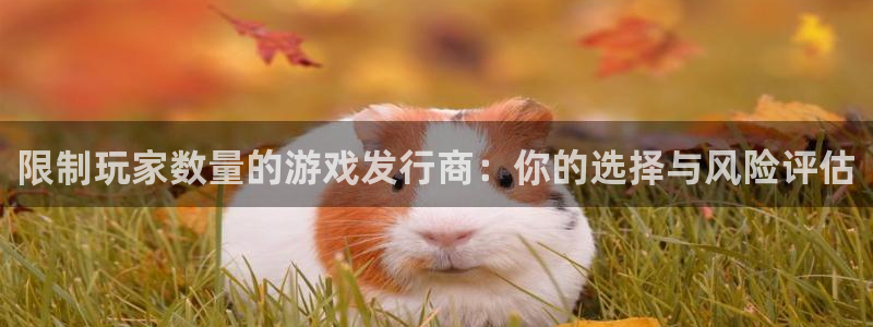 im电竞服装：限制玩家数量的游戏发行商：你的选择与风险评估