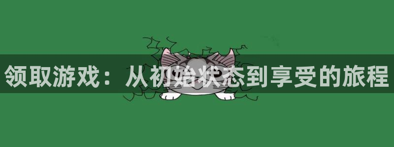 im电竞品牌设计：领取游戏：从初始状态到享受的旅程