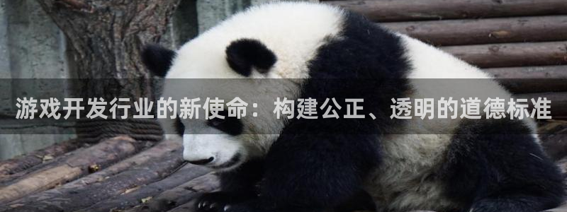 im电竞子图片：游戏开发行业的新使命：构建公正、透明的道德标准