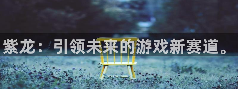 长沙im电竞子电子商务有限公司：紫龙：引领未来的游戏新赛道。