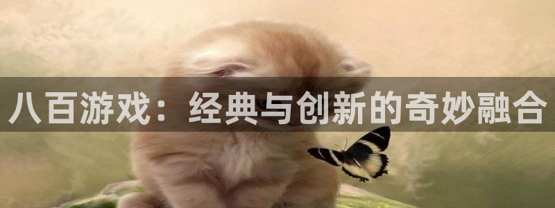 im电竞科技股票：八百游戏：经典与创新的奇妙融合