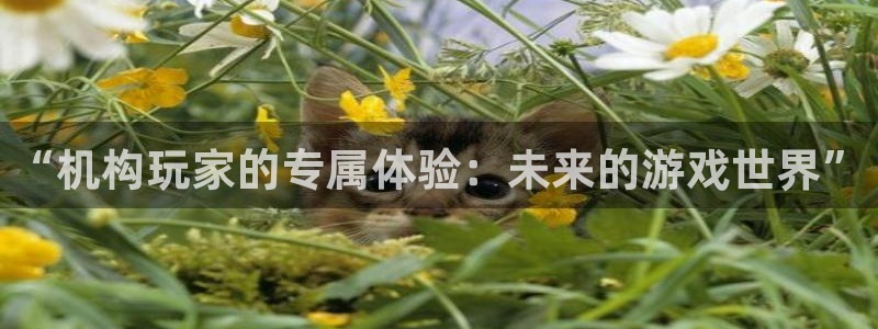 im电竞官网登录注册账号安全吗可靠吗：“机构玩家的专属体验：未来的游戏世界”