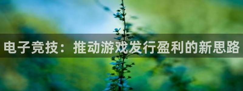 im电竞子图片：电子竞技：推动游戏发行盈利的新思路