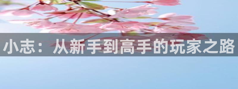 im电竞官网登录注册不了账号：小志：从新手到高手的玩家之路